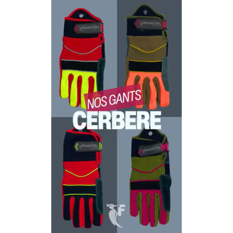 Gants CERBERE